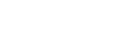 Artemis Group
